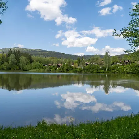 Apartament Inkl- Aktivcard Bayerischer Wald By Interhome *