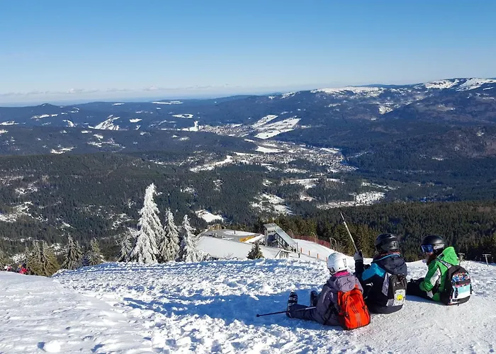 Inkl- Aktivcard Bayerischer Wald By Interhome *