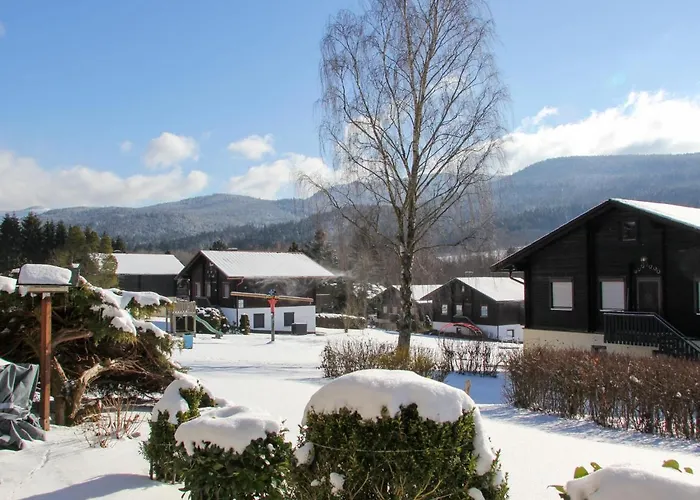Apartment Inkl- Aktivcard Bayerischer Wald By Interhome * أراتش